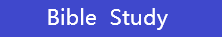 Bible Study button